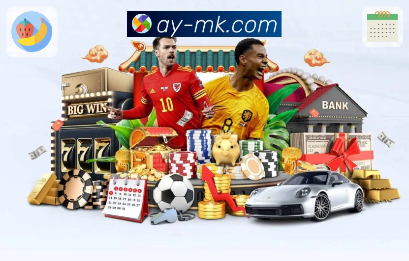 体育平台欢迎图